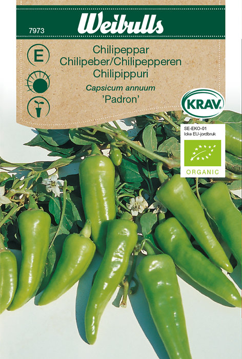 Chilipepper økologisk - 'Padron'
